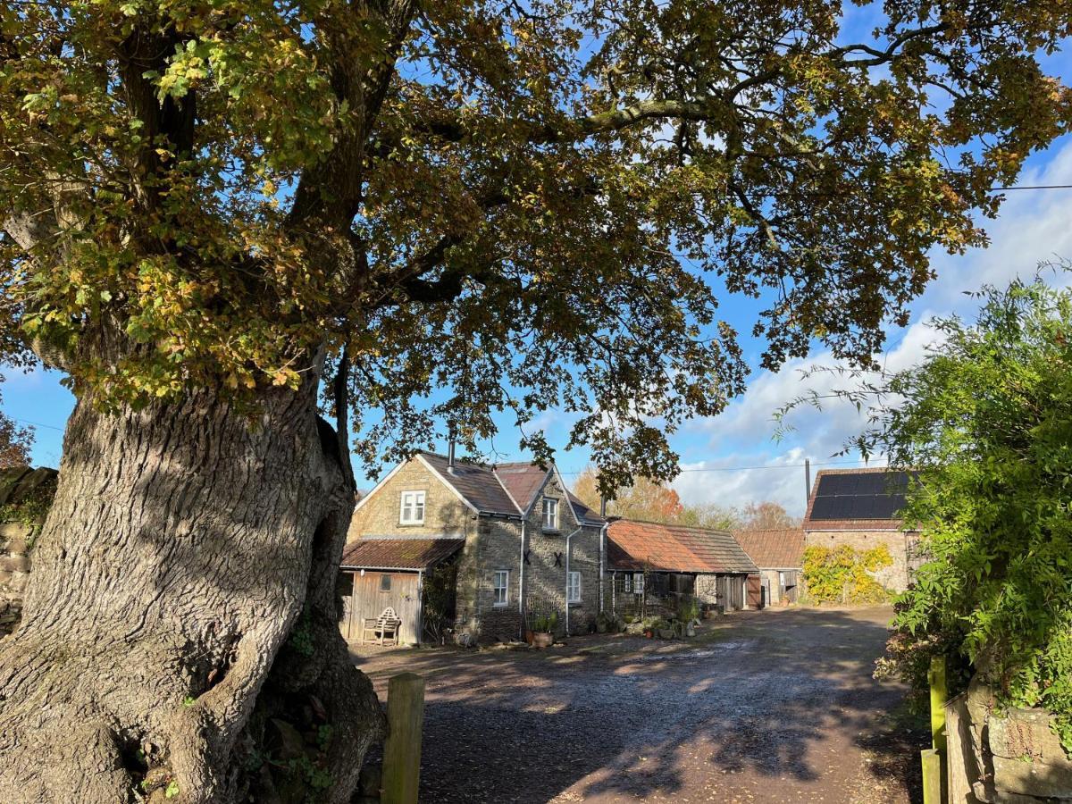 The Bothy At Oak Farm Apartamento Usk Exterior foto